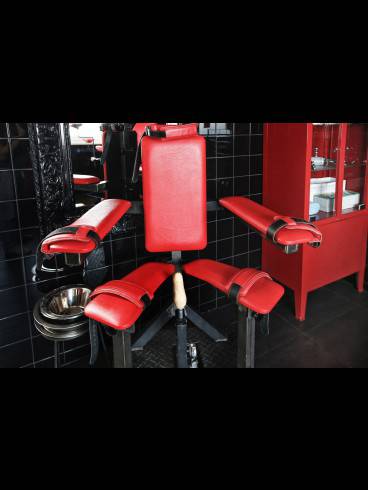 ELEGANCE Ladies GESUCHT / Team-Verstärkung 59