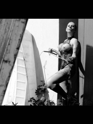 Lady Nic 49