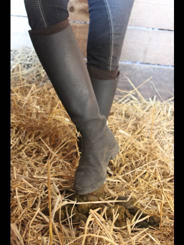 Kurz-Session Special im Stall / Outdoor 12