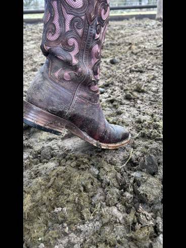 Kurz-Session Special im Stall / Outdoor 13