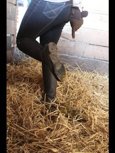 Kurz-Session Special im Stall / Outdoor 16