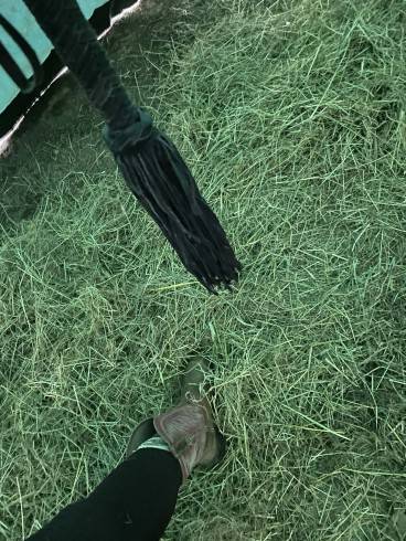 Kurz-Session Special im Stall / Outdoor 6