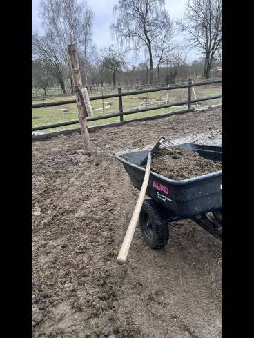 Kurz-Session Special im Stall / Outdoor 7