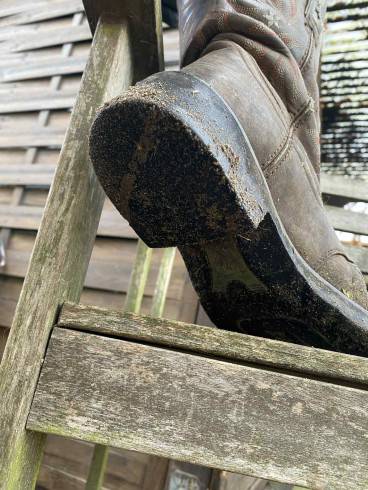 Kurz-Session Special im Stall / Outdoor 8