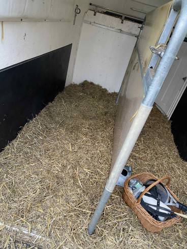 Kurz-Session Special im Stall / Outdoor 9