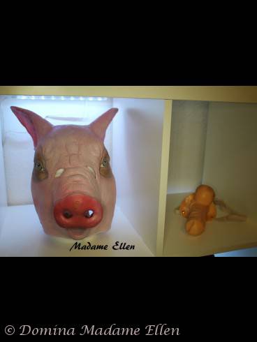 Madame Ellen Scat Queen Mitte April wieder da 16