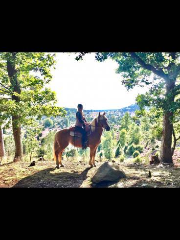 REITHERRIN Jessy - Reitfetisch - Stall - Outdoor 1
