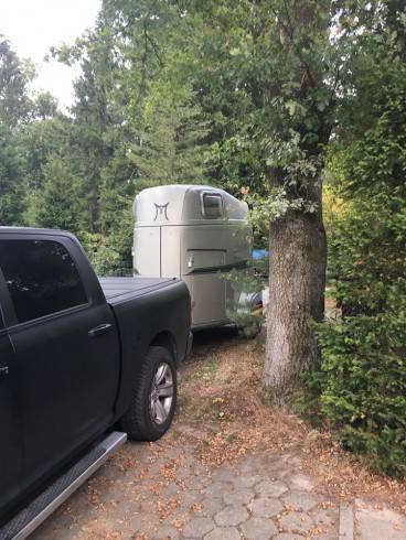 REITHERRIN Jessy - Reitfetisch - Stall - Outdoor 2