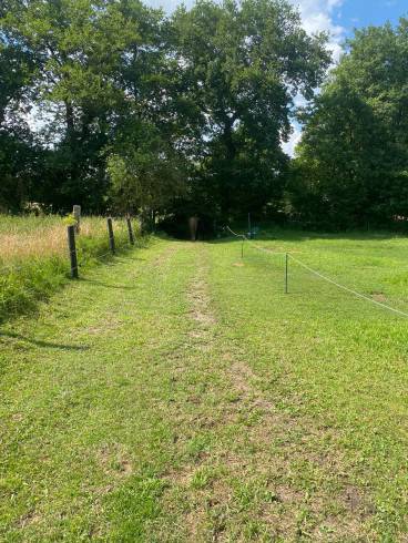 REITHERRIN Jessy - Reitfetisch - Stall - Outdoor 21