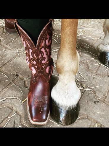 REITHERRIN Jessy - Reitfetisch - Stall - Outdoor 24