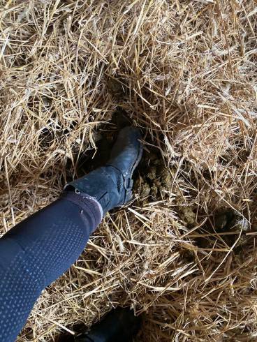 REITHERRIN Jessy - Reitfetisch - Stall - Outdoor 29