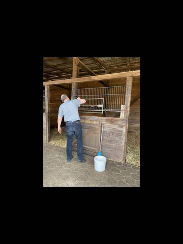 REITHERRIN Jessy - Reitfetisch - Stall - Outdoor 10