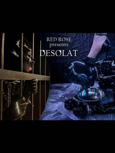 DESOLAT im Dominastudio Red Rose!!! 5