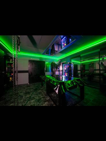 TBZ-Gummi-Studio 5