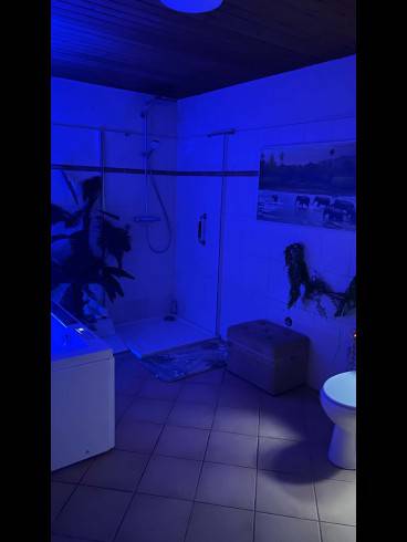Herrin Jessy - BDSM-Fetisch- Klinik & Reitherrin 57
