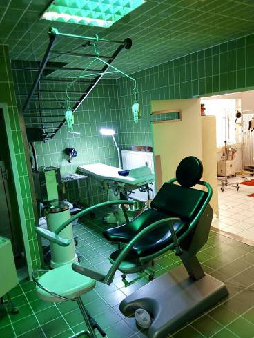 DAS B I Z A R R A D I E S - einfach mehr für Dich. 14