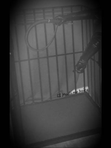 Madame Noire - bei mir werden Deine Träume wahr 11