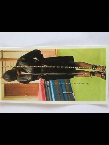 REIFES - PASSIVES- TRAVESTIE-SCHÜRZEN-MODELL 2