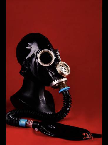 Das Domizil der Gräfin sucht Hausdame 17