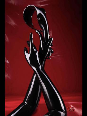 Das Domizil der Gräfin sucht Hausdame 19