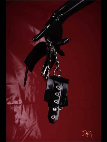 Das Domizil der Gräfin sucht Hausdame 20