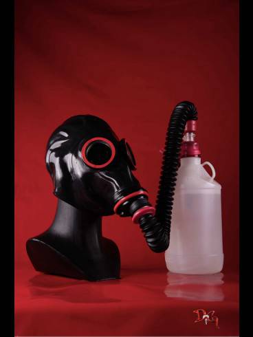 Das Domizil der Gräfin sucht Hausdame 21