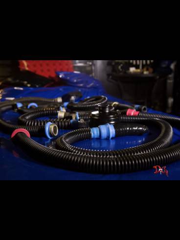 Das Domizil der Gräfin sucht Hausdame 29