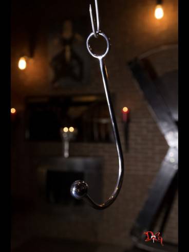 Das Domizil der Gräfin sucht Hausdame 36