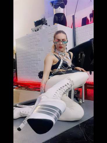 Regina Milano Domina 7