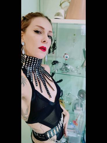 Regina Milano Domina 10