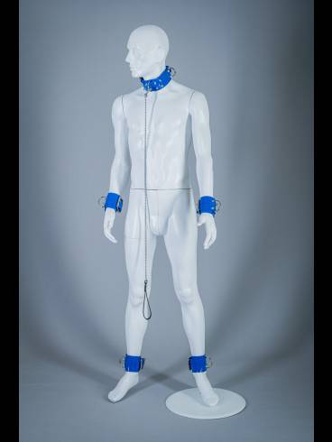 Golden Cage sucht Verstärkung. 15