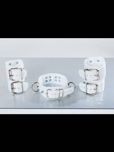 Golden Cage sucht Verstärkung. 8