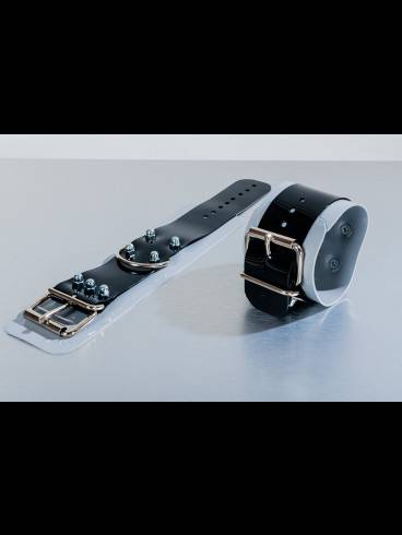 Golden Cage sucht Verstärkung. 9