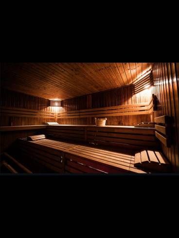 Hazel Bizarre - Institut Malbert 59