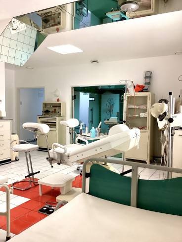 DAS BIZARRADIES München - Du wirst es lieben! 9