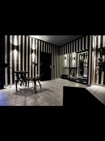 LADIES WANTED IN DÜSSELDORF GERNE GASTDAME 3