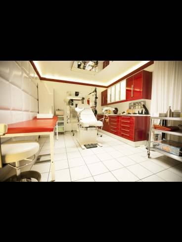 LADIES WANTED IN DÜSSELDORF GERNE GASTDAME 4