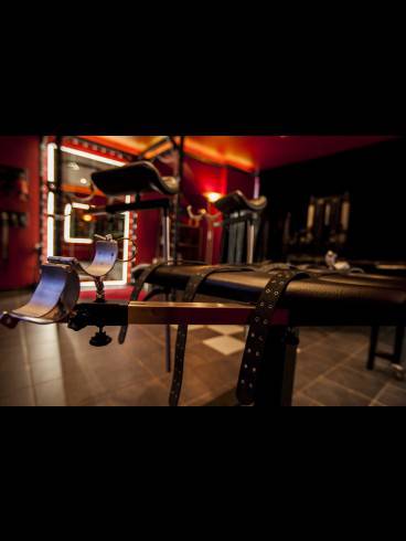 LADIES WANTED IN DÜSSELDORF GERNE GASTDAME 5