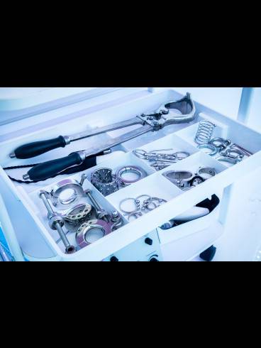 Golden Cage WhiteRoom 6