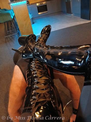 Miss Donna Carrera 3