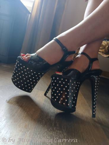 Miss Donna Carrera 4