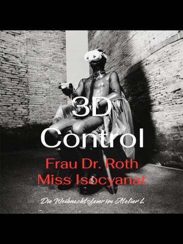 3-D Control Die Weihnachtsparty im Atelier L 3