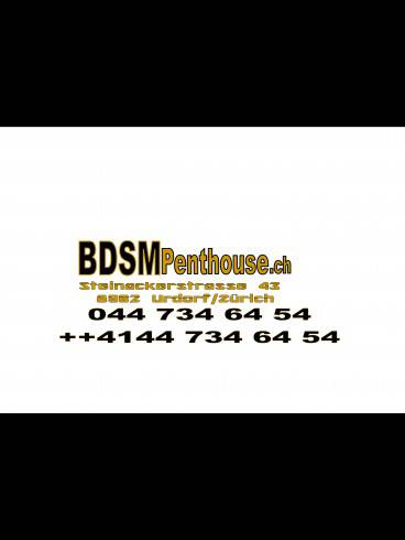 BDSM Penthouse Urdorf ZH 1