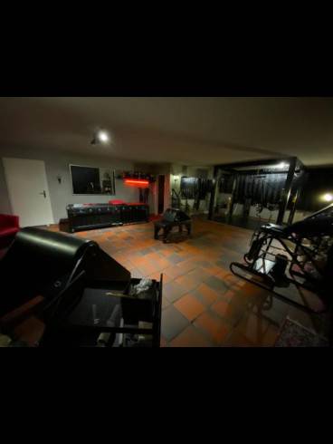 BDSM Penthouse Urdorf ZH 2