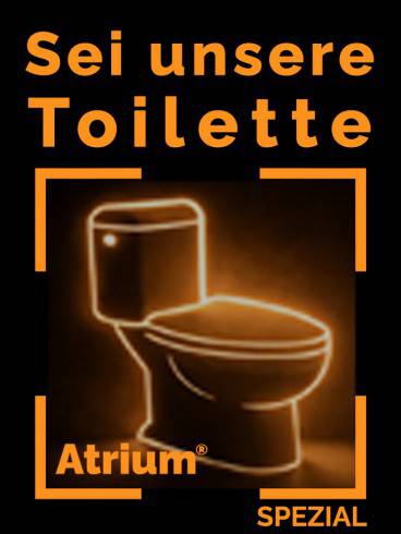 Sei unsere Toilexxe 1