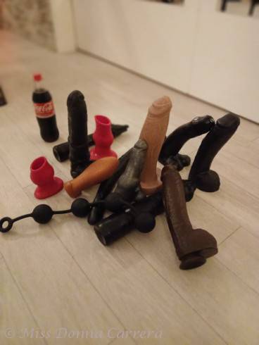 Miss Donna Carrera 55