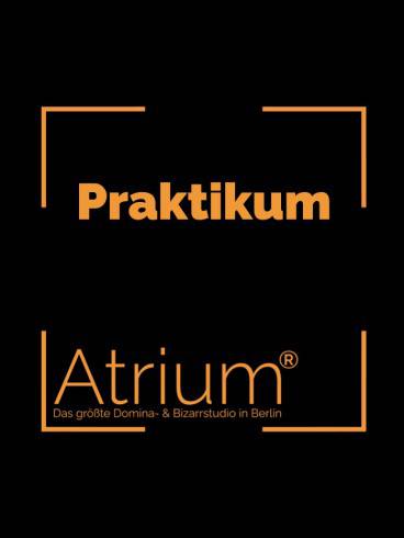 Praktikum im Dominastudio 1