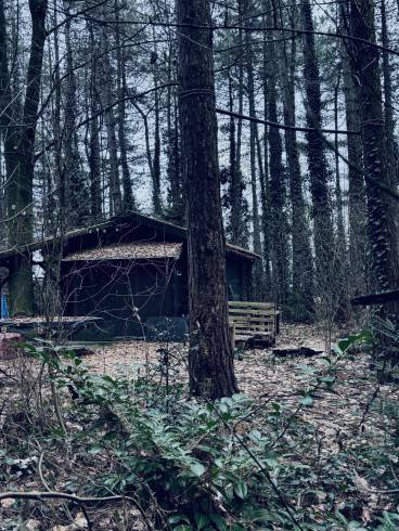 BLACK SITE PRISON - 5- 2026 1