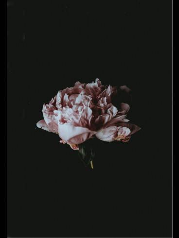 BDSM TRIFFT YOGA SPECIAL by LADY MARA 3