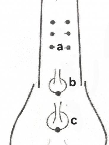 Piercing Session bei Lady Belana 2